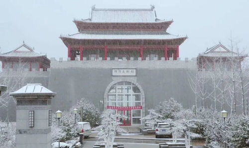 莱芜韩涛最新进展，学习之光，培育自信与成就感的源泉