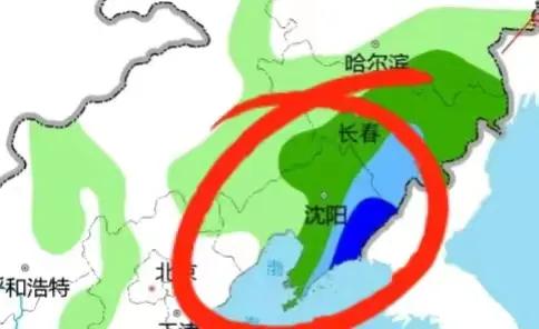 辽宁暴雨最新信息及应对暴雨步骤指南（初学者与进阶用户通用）