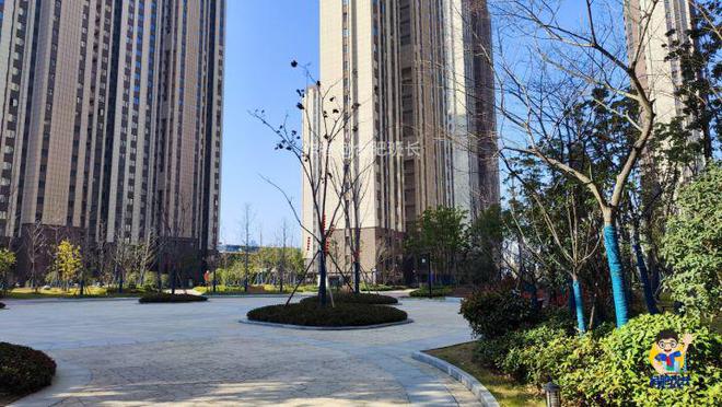 合肥滨湖沁园最新照片，湖畔温馨日常展示