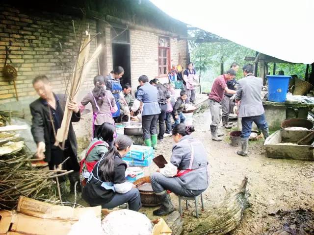 最新农村响器班视频，文化现象的深度解析与探讨