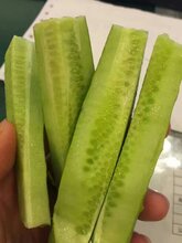 聊城黄瓜最新价格行情详解及获取价格走势指南