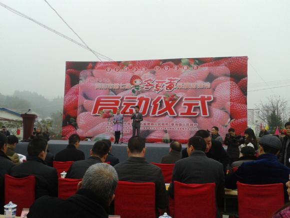 简阳石板凳镇最新归化步骤详解，指南与资讯更新